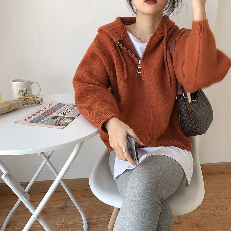 Elegant Hooded Knitted Coat Loose Sweater Short